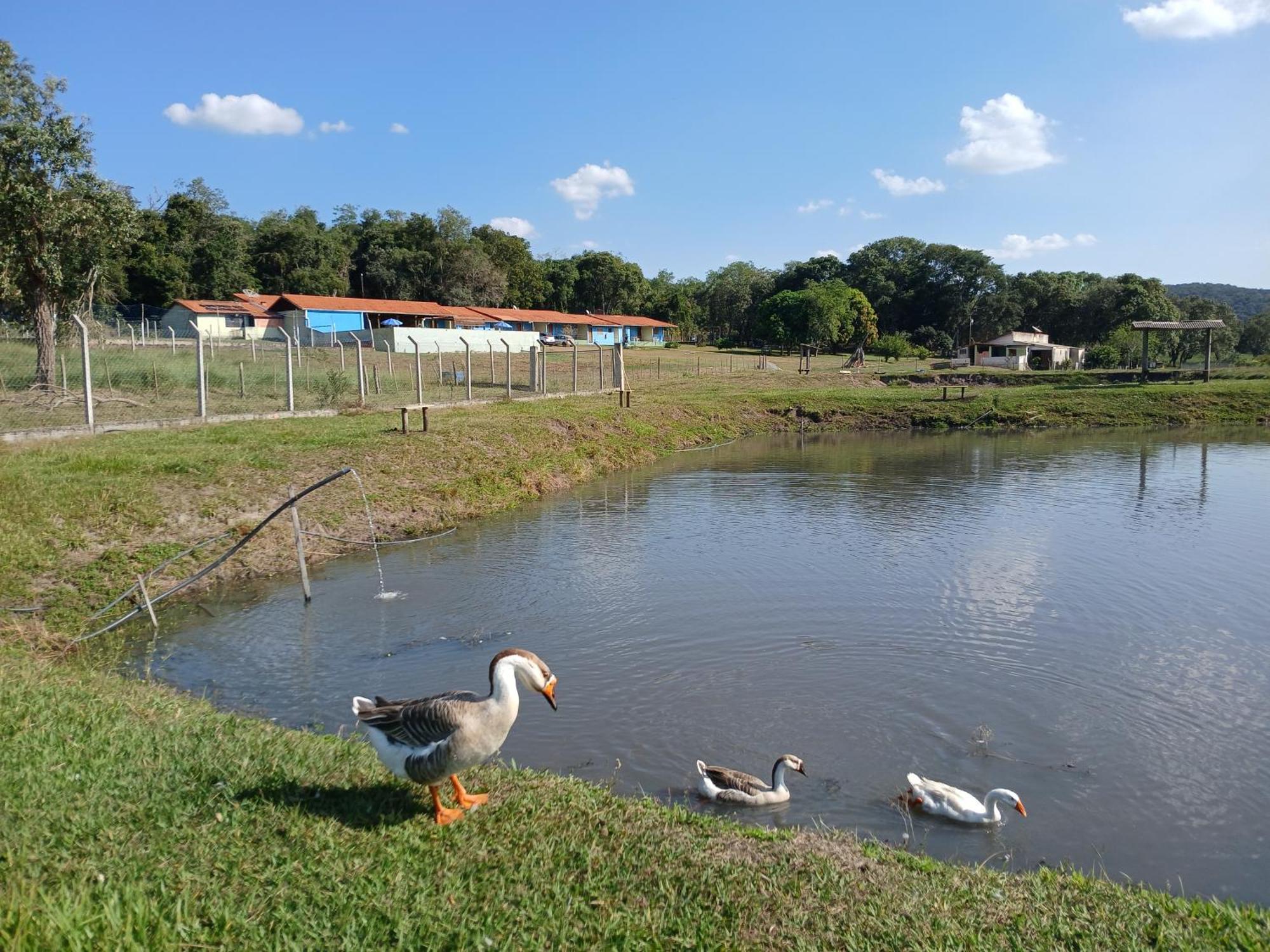 Hotel Fazenda Recanto Do Monte Alegre Piraju Dış mekan fotoğraf