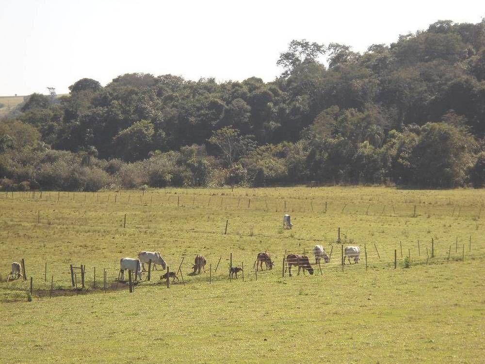 Hotel Fazenda Recanto Do Monte Alegre Piraju Dış mekan fotoğraf