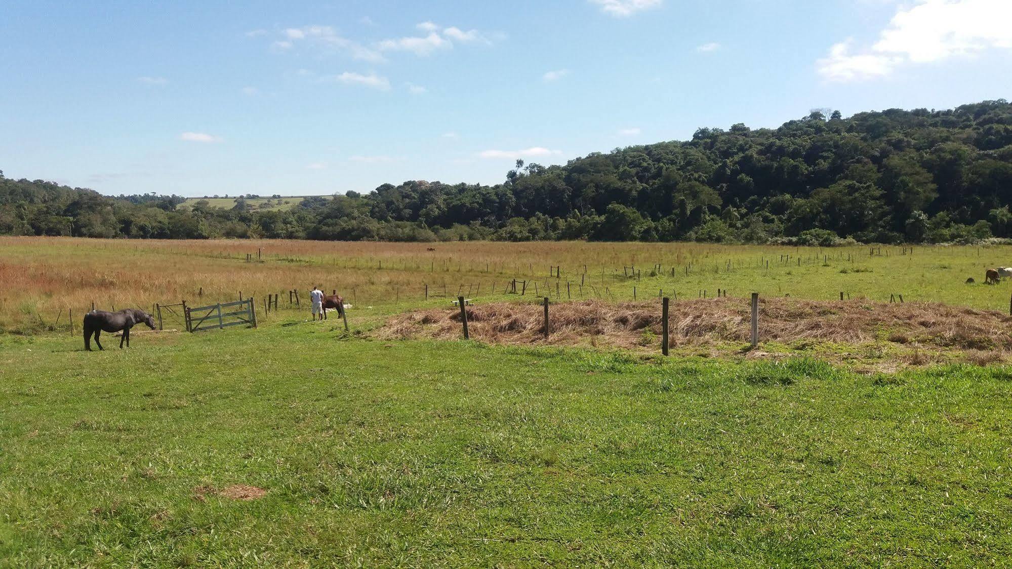 Hotel Fazenda Recanto Do Monte Alegre Piraju Dış mekan fotoğraf